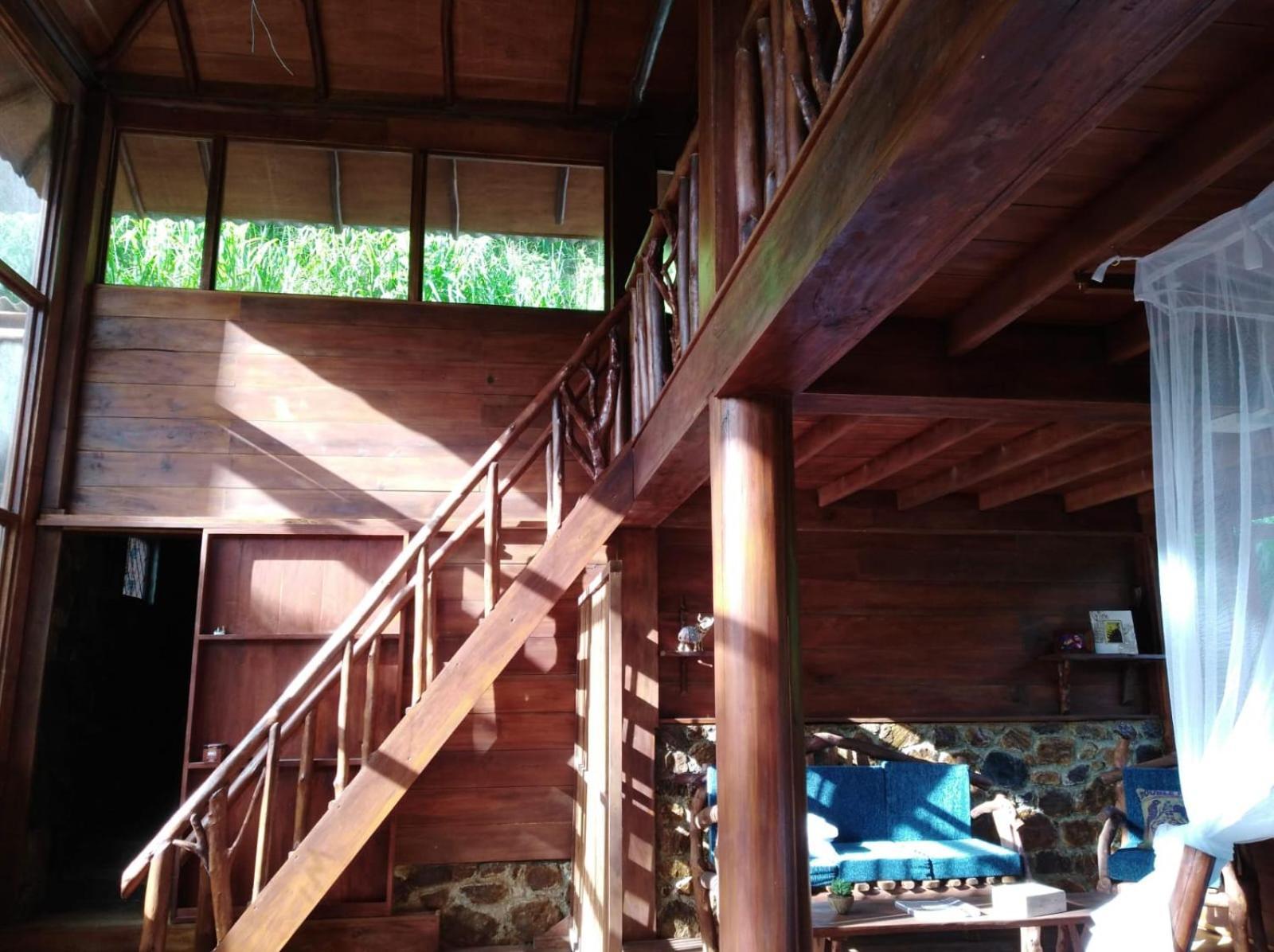 Hotel Ella Treehouse Esterno foto