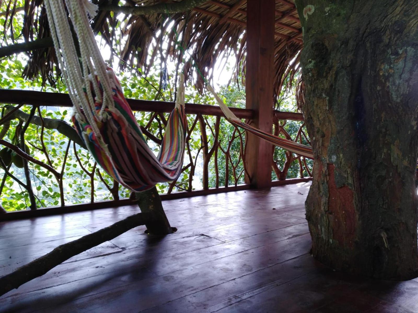 Hotel Ella Treehouse Esterno foto