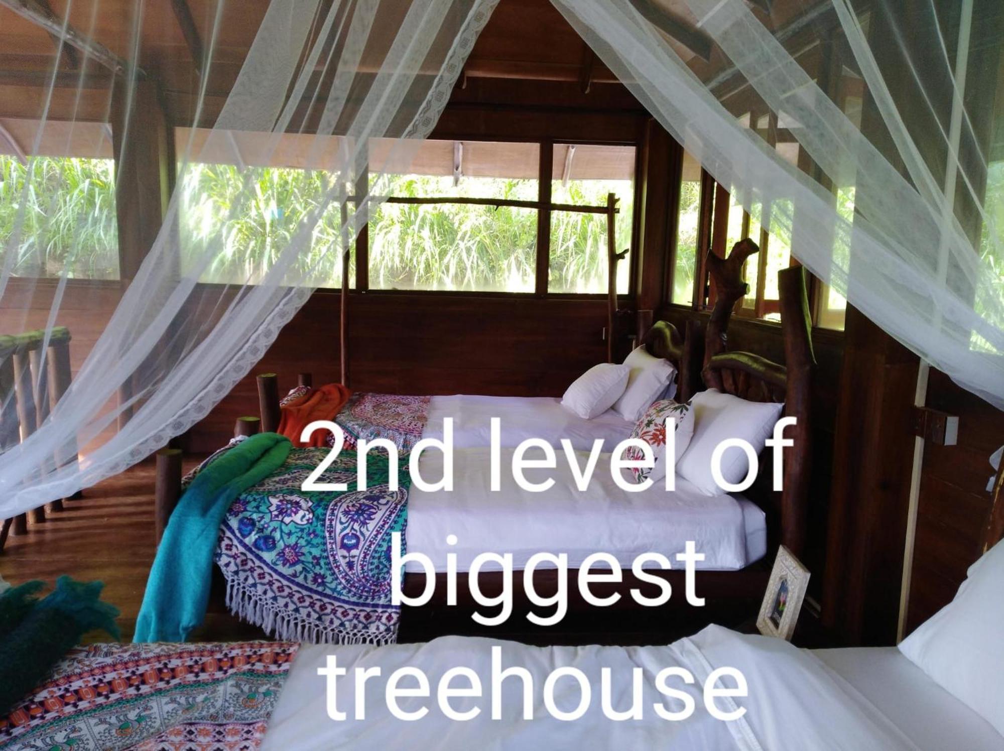 Hotel Ella Treehouse Esterno foto