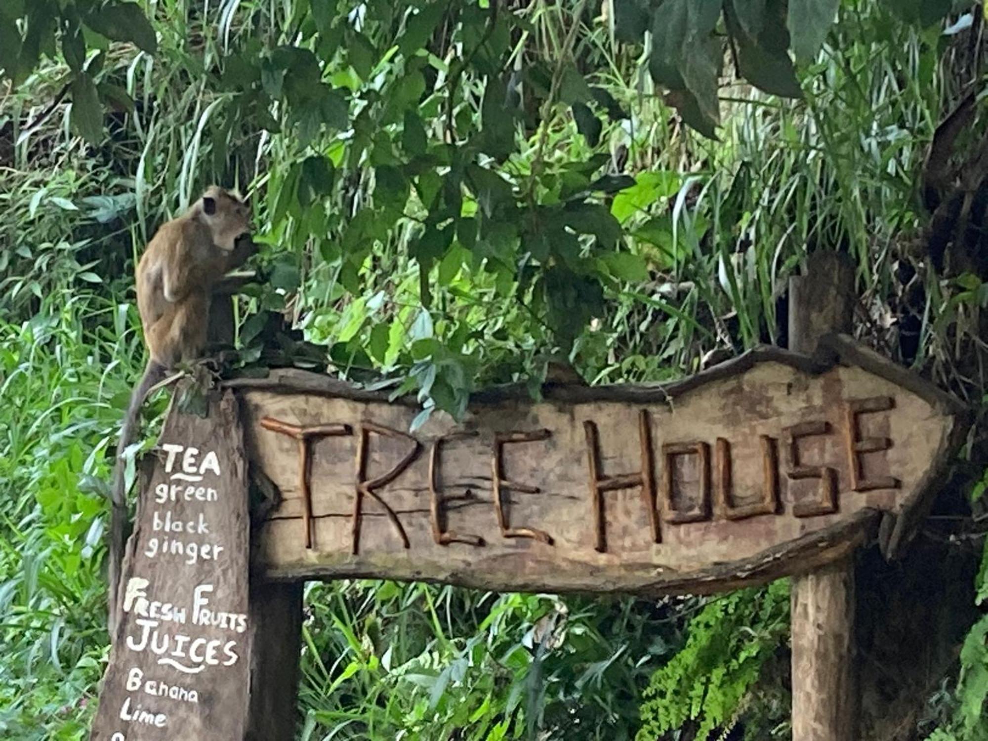 Hotel Ella Treehouse Esterno foto