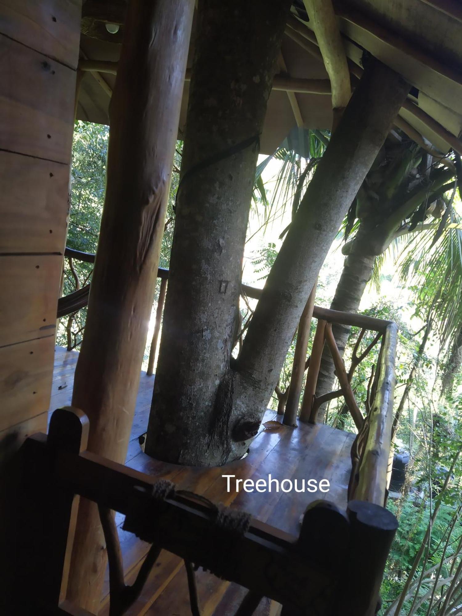Hotel Ella Treehouse Esterno foto