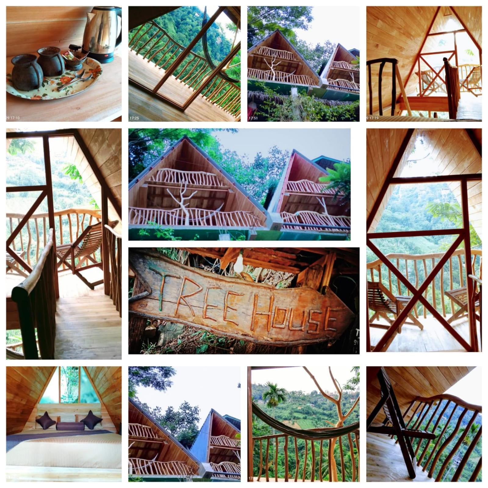 Hotel Ella Treehouse Esterno foto